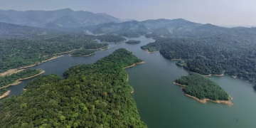 Quảng Trị Ecotourism Project Threatens Hundreds of Hectares of Natural Forests in Việt Nam
